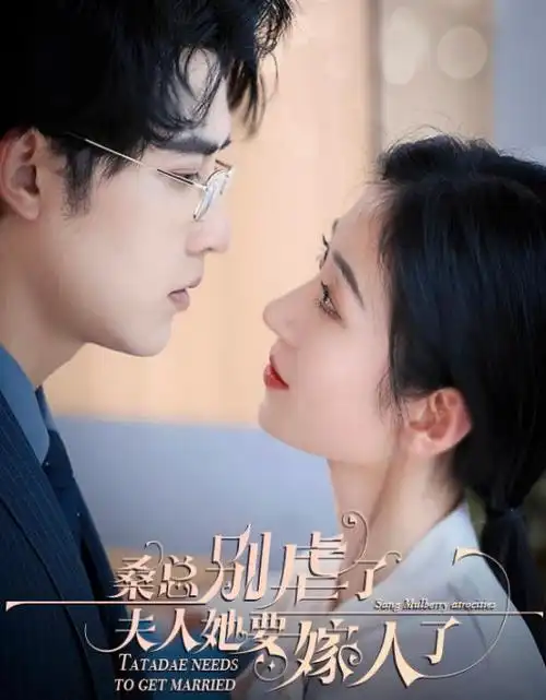 无声回声剧集海报